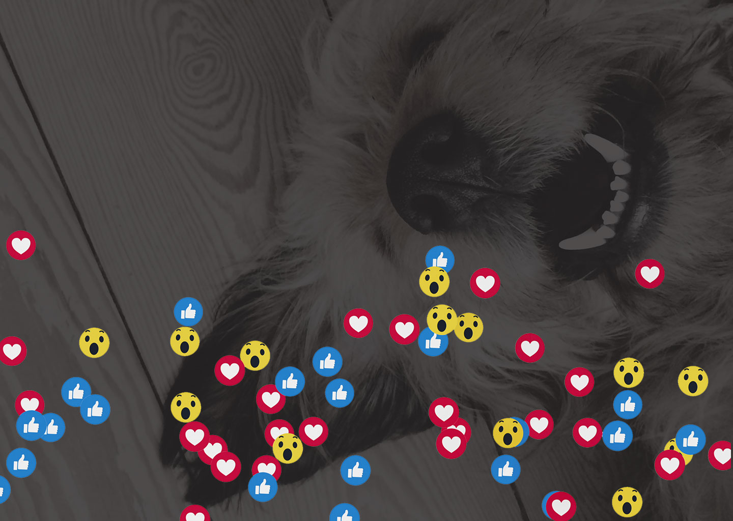 Bilder_Website_Leistungen_AnalyseReporting_1440x1024px ACC Leistungen Analyse und Reporting Social Media