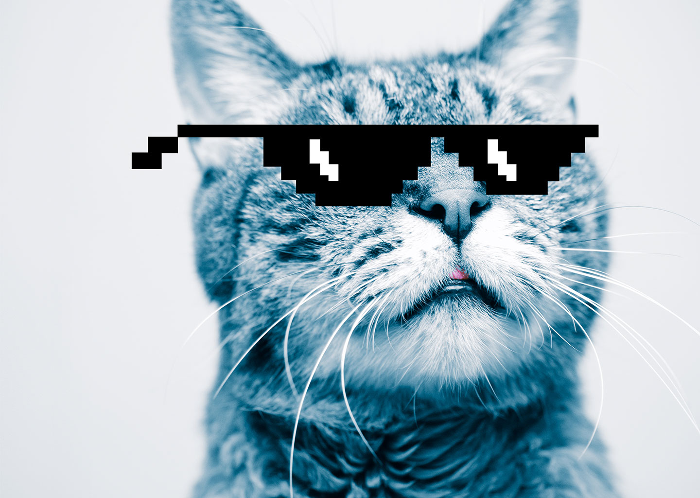 Bilder_Website_Leistungen_AnalyseReporting_1440x1024px ACC Leistungen Analyse und Reporting